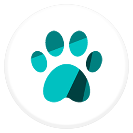Cats and Dogs Icon